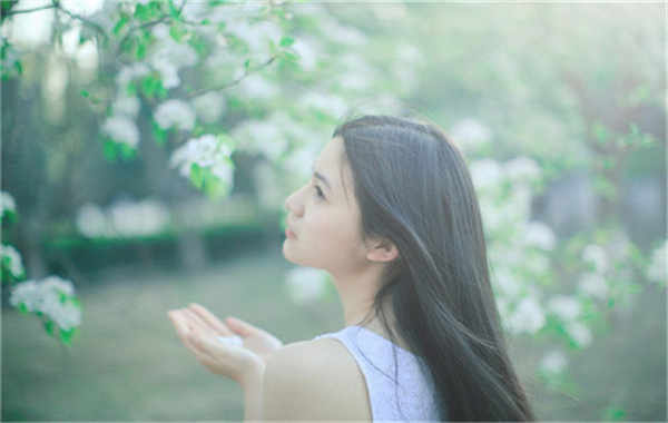 娄烦验血查男女几周可以验(验血查男女结果图)